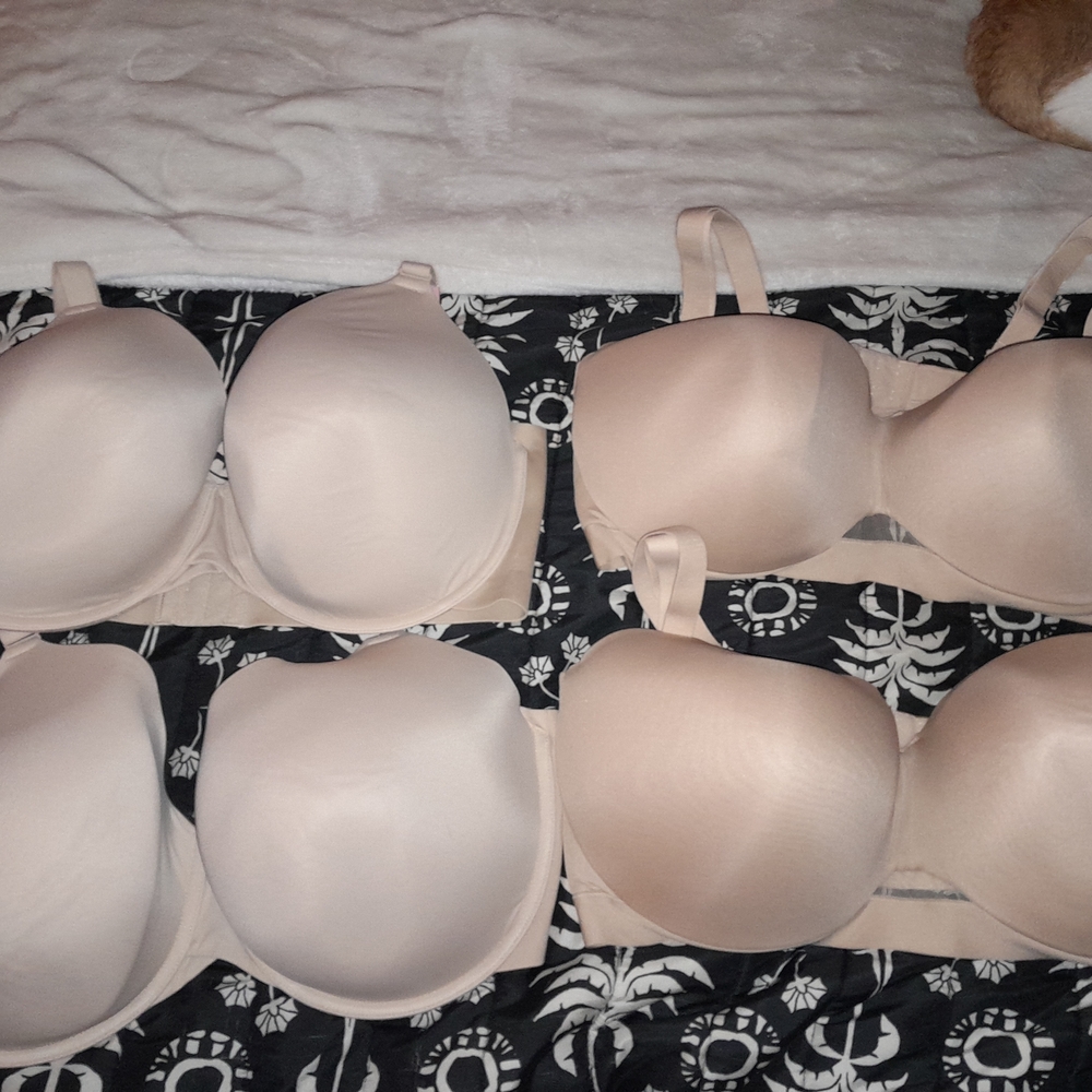 New with Tags Cream T-Shirt Bras 42 G